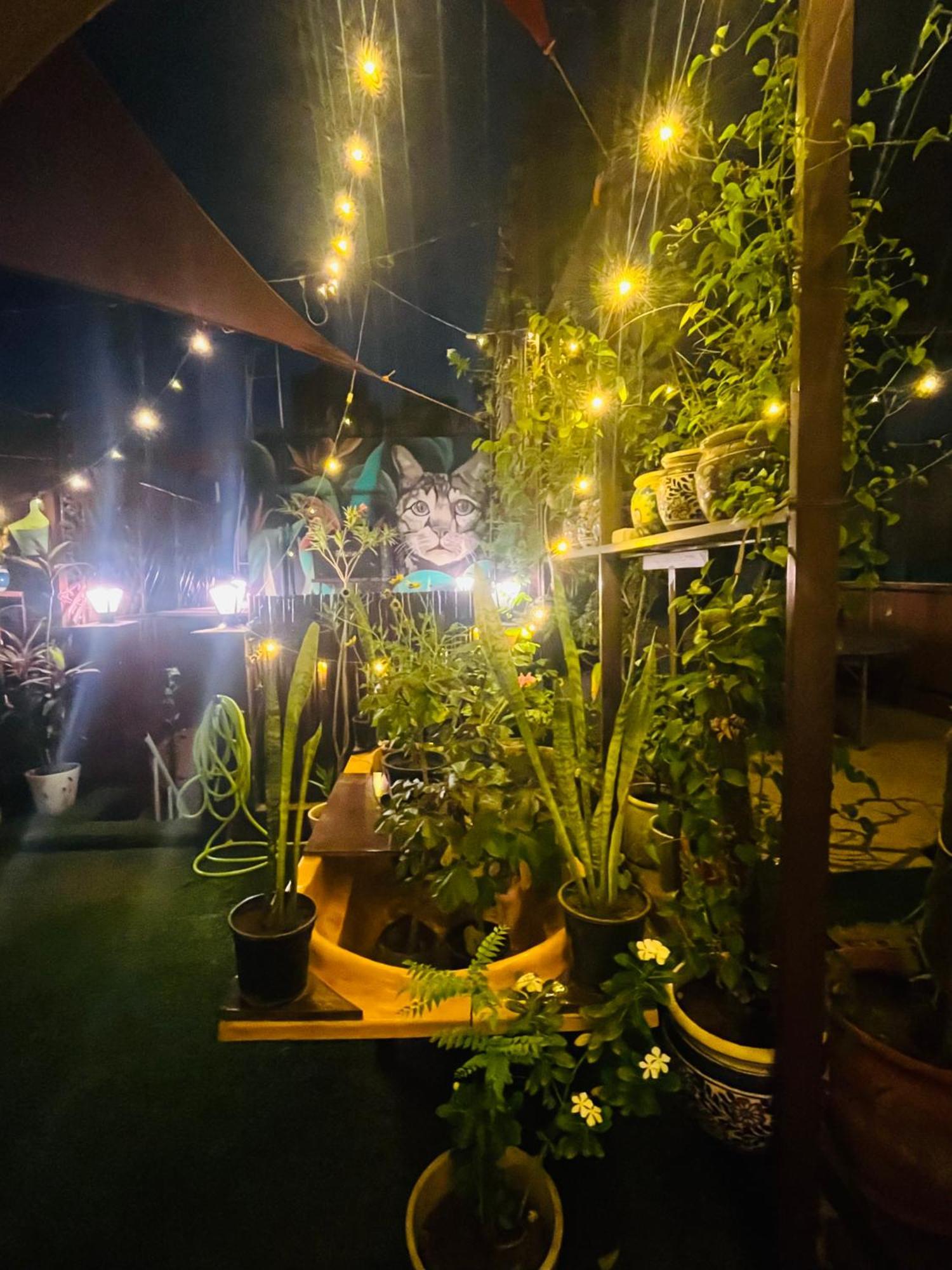 Anavrin Art House Apartment New Delhi Exterior photo